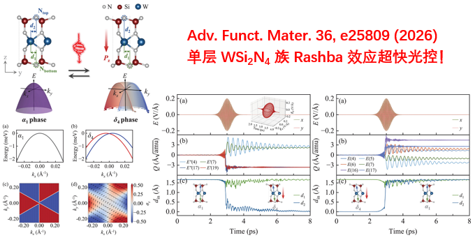 Advanced Functional Materials 36, e25809 (2026)