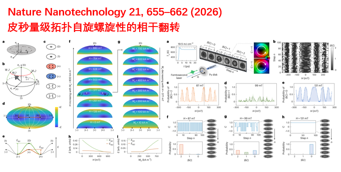 Nature Nanotechnology 21, 655–662 (2026)